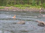 Sweden 2006-07 113